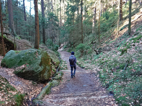 Abstieg in den Schulzengrund