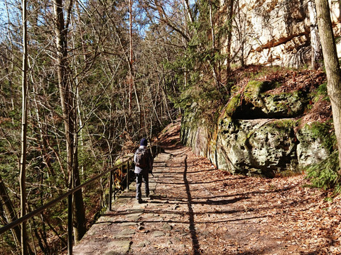 Abstieg ins Polenztal