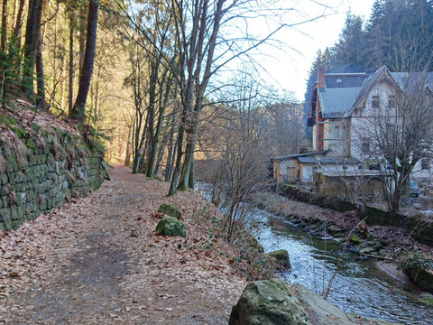 Im Polenztal gegenüber der Waltersdorfer Mühle