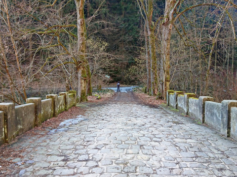 Brücke über Polenz