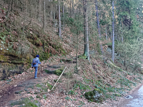 Abzweig auf den Füllhölzelweg