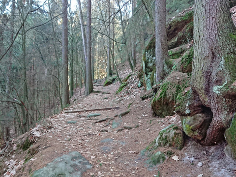 Aufstieg aus dem Polenztal