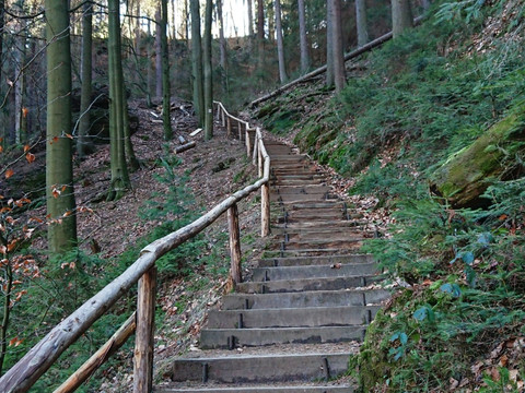 Aufstieg aus dem Polenztal