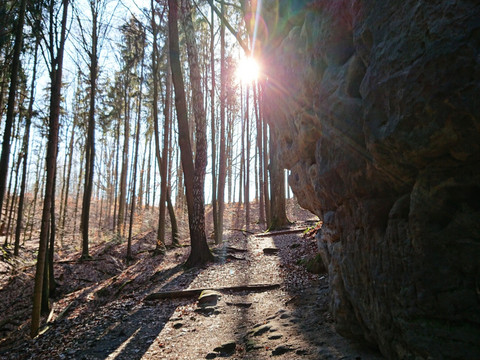 Kurz vor der Straße nach dem Polenztal