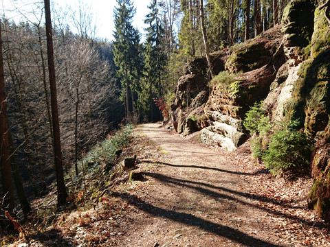 Abstieg in Richtung Rathen auf dem Füllhölzelweg