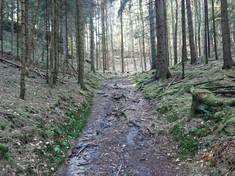 Weg zum Gamrig