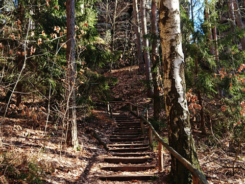 Aufstieg auf den Gamrig unterer Teil