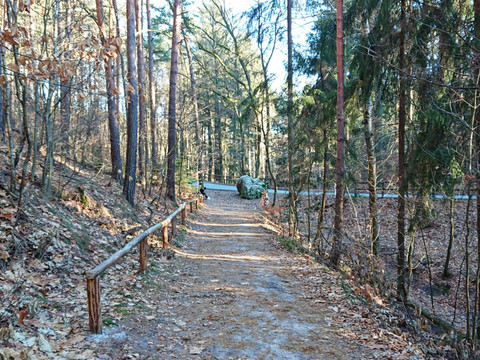 Weg zur Straße nach dem Gamrig