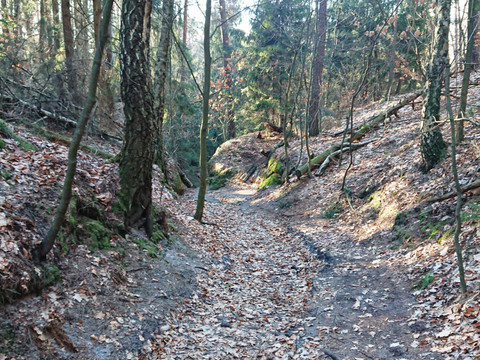 Aspichgraben nach Rathen