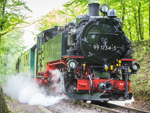 Weißeritztalbahn im Rabenauer Grund