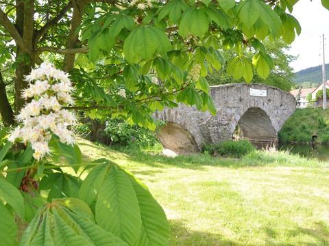Böhmische Brücke von 1724 bei Mönchswalde