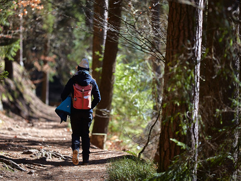 Wanderer im Amselgrund