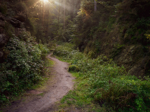 Schindergraben bei Hohnstein