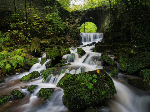 Bärengarten bei Hohnstein