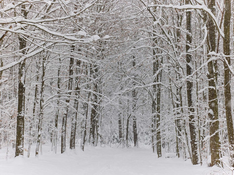 Wanderweg Gautschgrottenroute