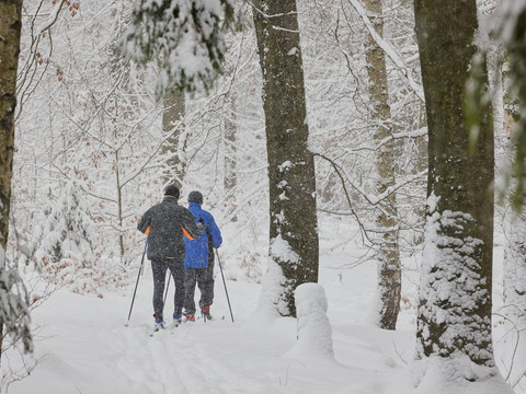 Langläufer im Brandgebiet