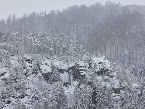 Blick in den Tiefen Grund