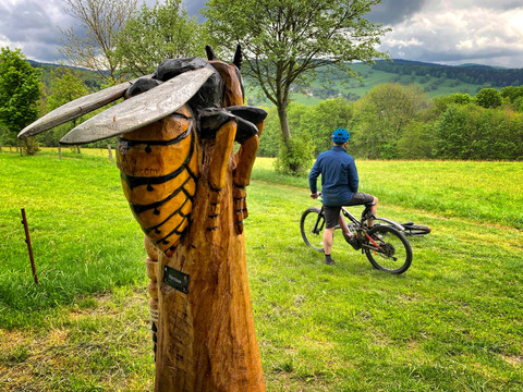 BLOCKLINE Motivmeilenstein Hornisse