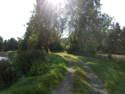 Wanderweg durch die Teichgruppe vor Schönau