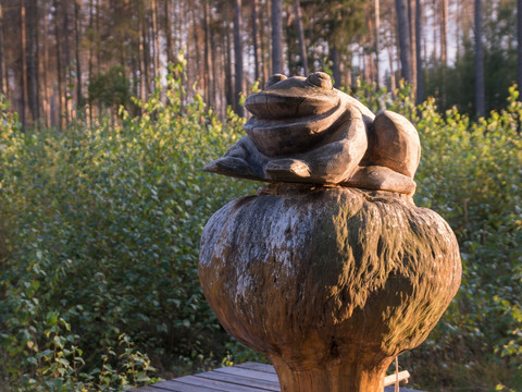 Moorfrosch im Pöllwitzer Wald