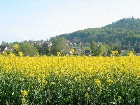 Blick auf die Landeskrone, Görlitz