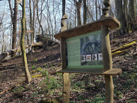 Landeskrone, Görlitz - Lehrpfad Nordweg