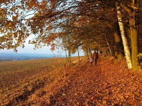 Landeskrone Görlitz