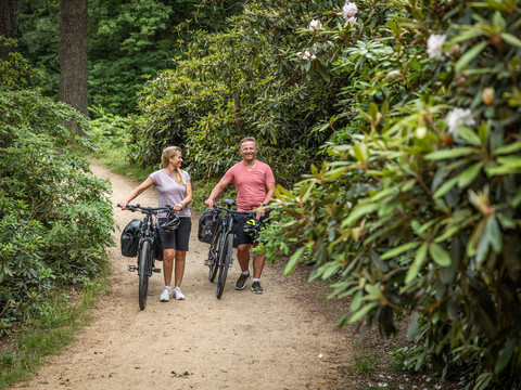 Radfahrer im Rhododendronpark Kromlau