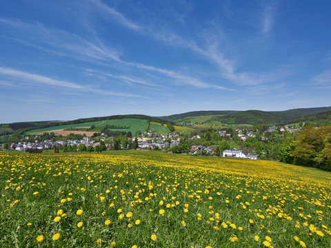 Sommerwiese mit Blick auf Erlbach