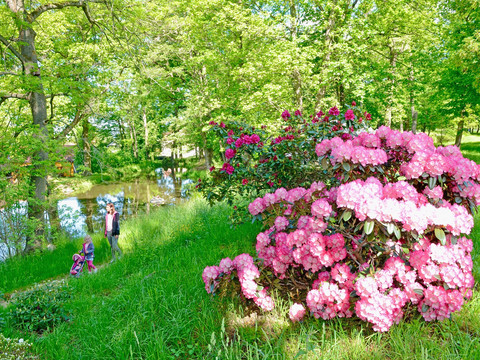 Polenz Park Cunewalde