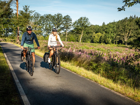 Natur pur auf dem Bahnradweg Oberlausitz
