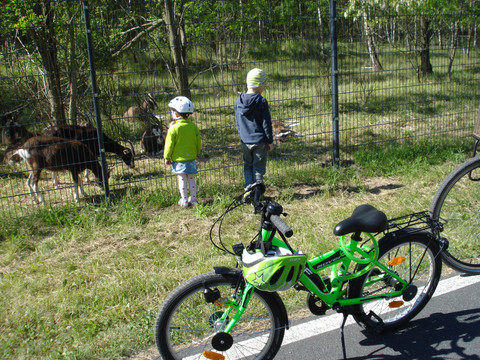 Berzdorfer See, Ziegengehege