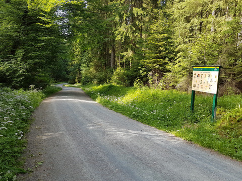 Naturlehrpfad Hüttenbachtal