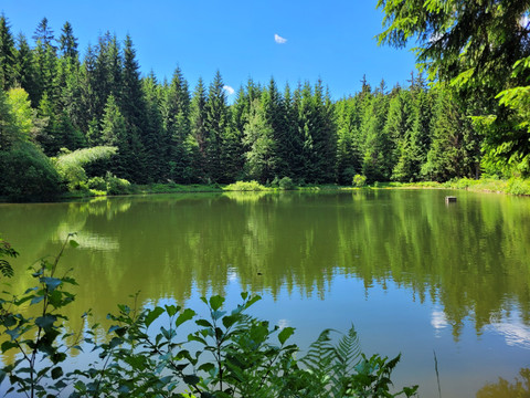 Großer Hüttenbachteich