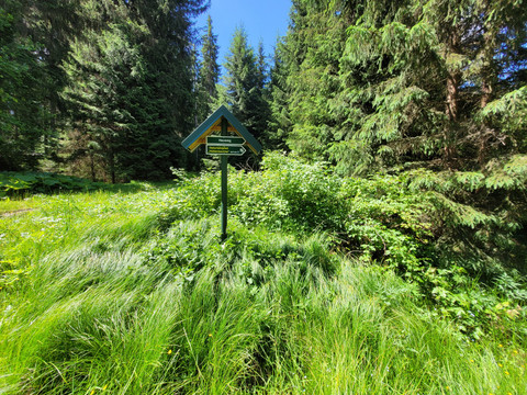 Heuweg im Hüttenbachtal