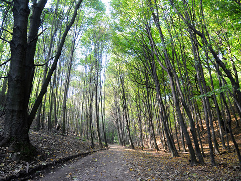 Der Breite Grund zwischen Freital-Hainsberg und Freital-Weißig