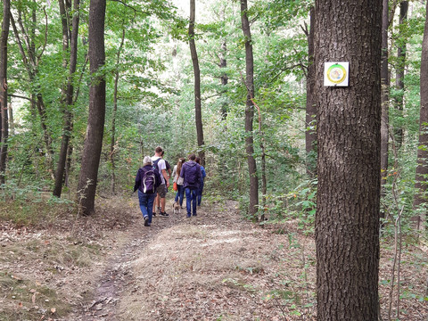 Auf dem Klitscherweg durch den Weißiger Wald