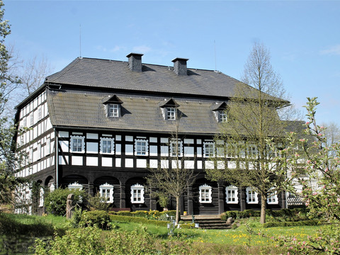 Alte Mangel im Frühling