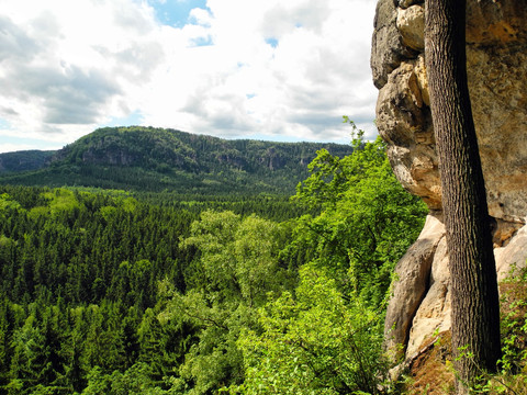 Blick vom neuen Wildenstein zum Kleinen Winterberg