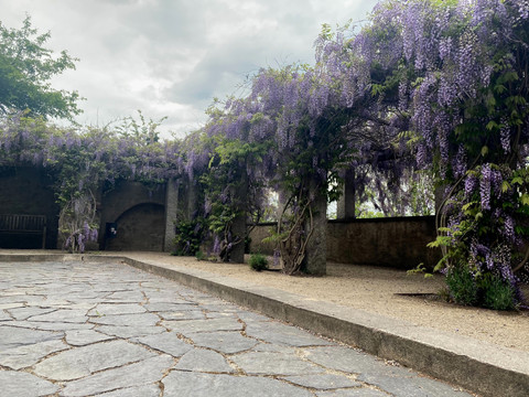 Ochsenbastei und Ochsenzwinger, Görlitz