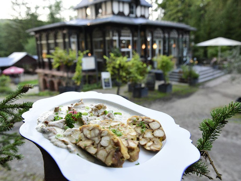 Waldquelle – Restaurant & Café Bad Elster