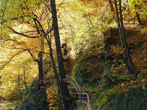 Felsentreppe im Spechtritzgrund