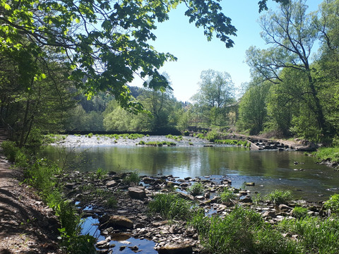 Uferweg mit Fischtreppe an der Zschopau