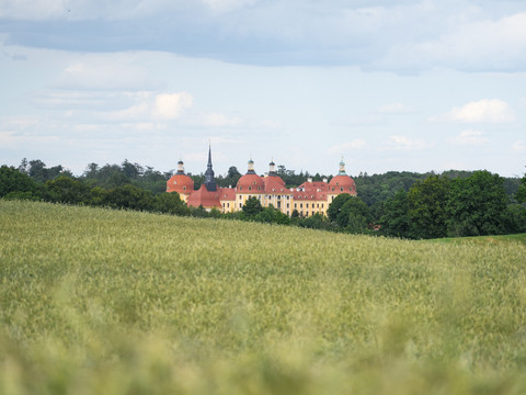 Blick auf das Schloss Moritzburg