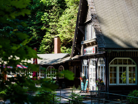 Waldidylle Uttewalder Grund