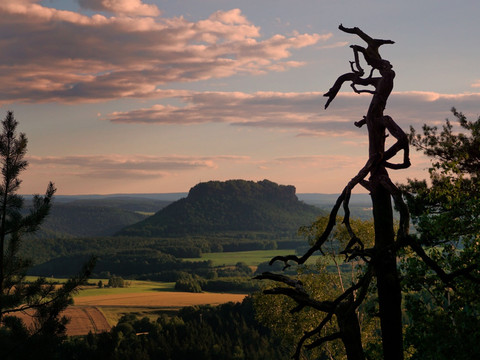 Waitzdorfer Aussicht