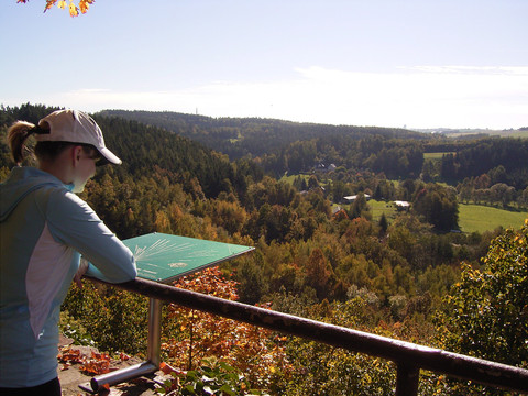 Aussicht von der Burgruine Reichenfels