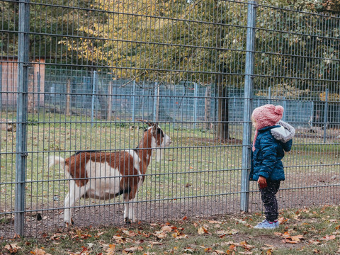 Tiergehege "Rabensleite" Zeulenroda-Triebes