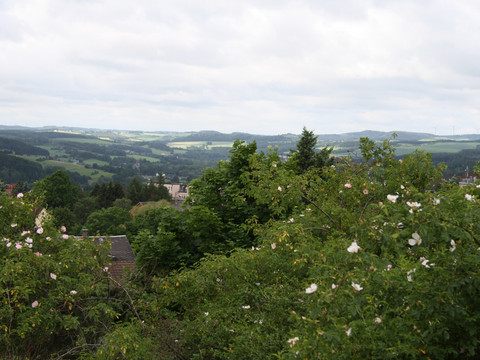 Blick vom Taubenhübel