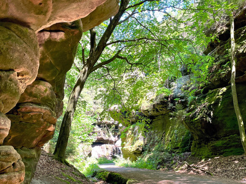 Die Radtrasse durch den Tscherregrund